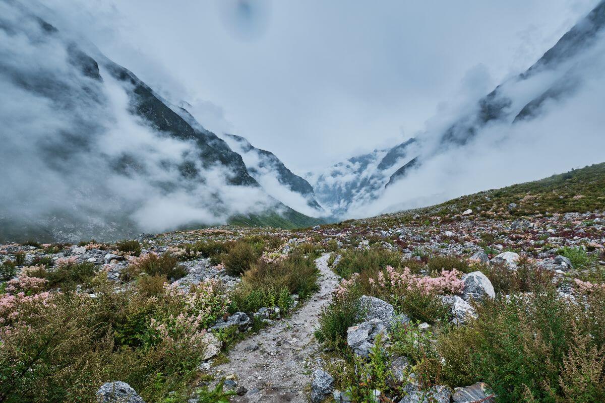 langtang-valley-trek